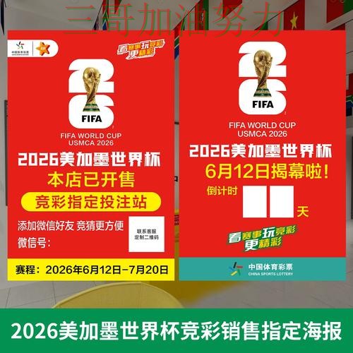 世界杯投注网站大全深度解析总结：入口在哪关键点解析（2026世界杯）
